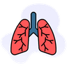 Respiratory Health